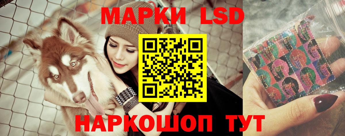 Лсд 25 экстази кислота Новотроицк